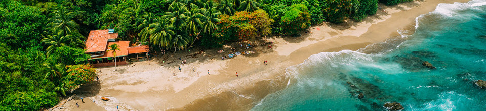 Vista aérea de una costa tropical con playas de arena y exuberantes palmeras.